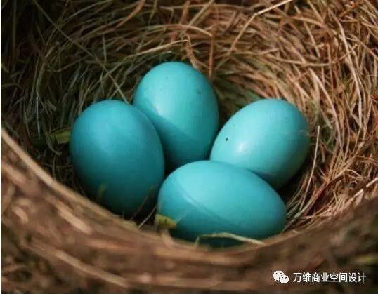 萬維超市設(shè)計(jì)項(xiàng)目_Merryseason每時(shí)美季精品超市提案