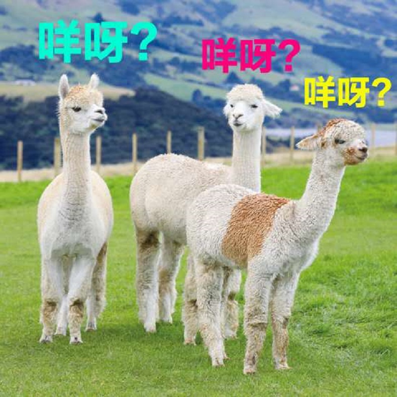購(gòu)物中心設(shè)計(jì)